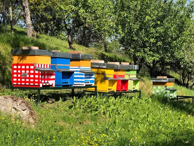 Colourful hives in the orchard