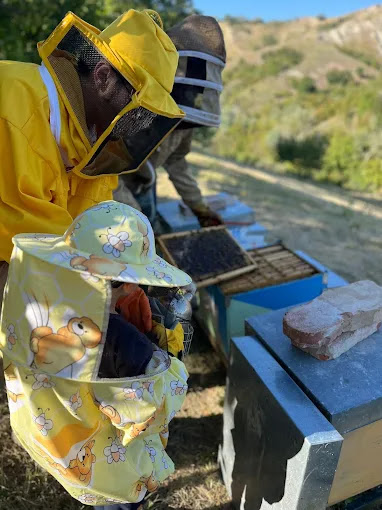 Apicoltore che mostra un favo di api a un bambino protetto dalla tutina