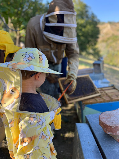 Famiglia in tuta da apicoltore nell'apiario