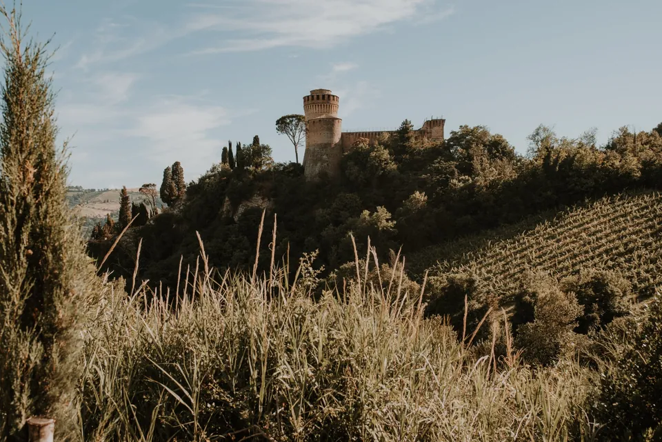 Brisighella's Rocca seen from the vineyards