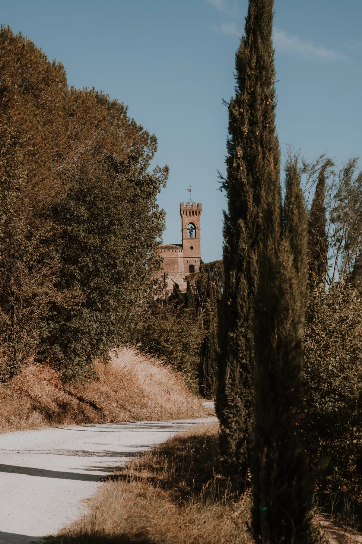 Brisighella's tower among the cypress trees